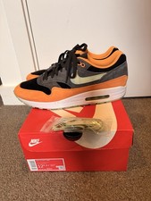 Nike Air Max 1 Ugly Duckling